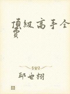 顶级高手全文免费