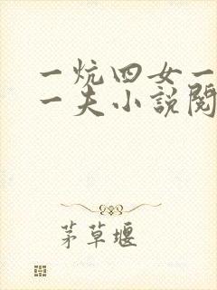 一炕四女一共侍一夫小说阅读