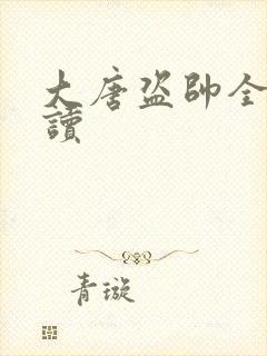 大唐盗帅全文阅读