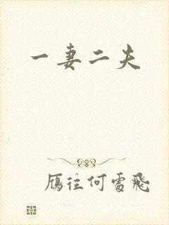 一妻二夫