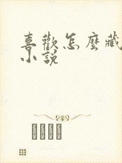 喜欢怎么藏不住小说