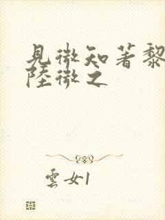 见微知著黎见卿陆微之