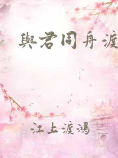 与君同舟渡小说