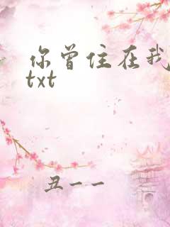 你曾住在我心上txt