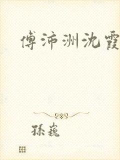 傅沛洲沈霞小说