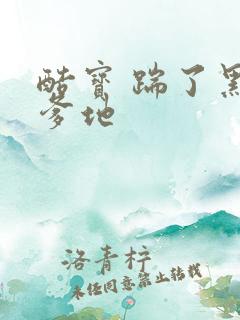 酷宝 踹了黑道爹地