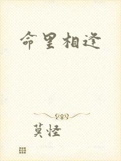 命里相逢