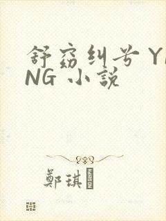 舒窈纠兮 YING 小说