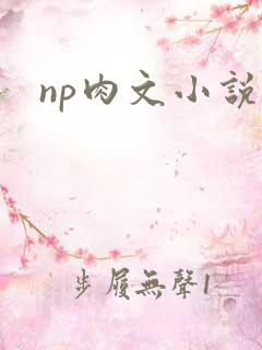 np肉文小说