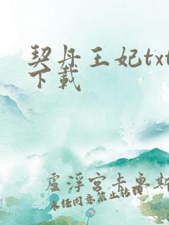 契丹王妃txt下载