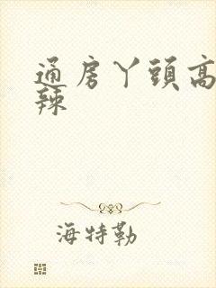 通房丫头高h肉辣