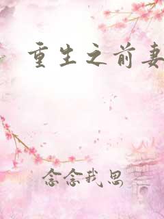 重生之前妻之惑
