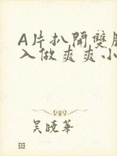 A片扒开双腿进入做爽爽小说