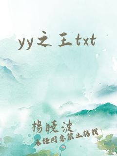 yy之王txt