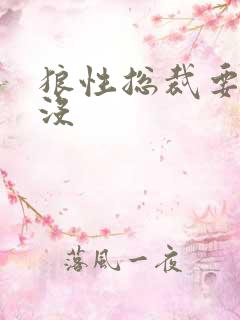 狼性总裁要够了没