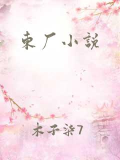 东厂小说