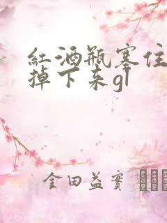 红酒瓶塞住不准掉下来gl