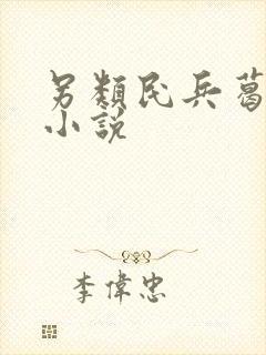 另类民兵葛二蛋小说