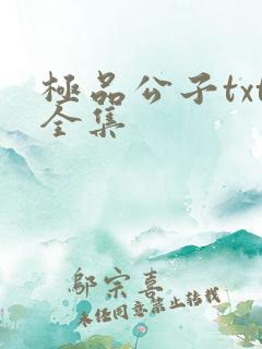 极品公子txt全集