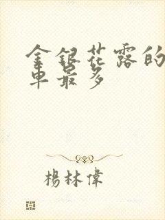 金银花露的哪个车最多