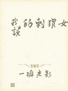 我的刺猬女孩小说