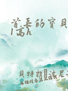 首长的宝贝1v1高h