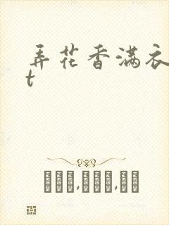 弄花香满衣txt