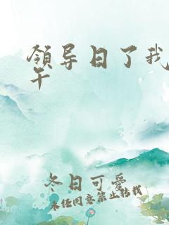 领导日了我一下午