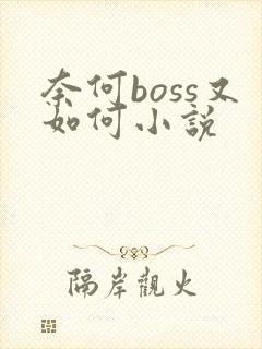 奈何boss又如何小说