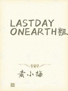 LASTDAYONEARTH粗暴