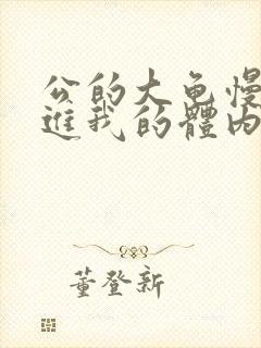 公的大龟慢慢挺进我的体内小说