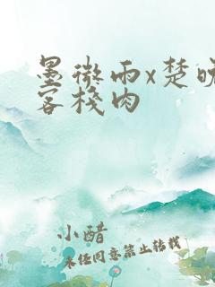 墨微雨x楚晚宁客栈肉