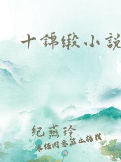十锦缎小说