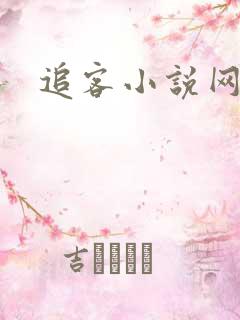 追客小说网