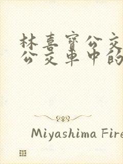 林喜宝公交车(公交车中的林喜宝)