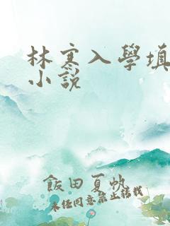 林寒入学填未婚小说