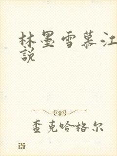 林墨雪慕江行小说