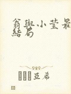 翁与小莹最新大结局