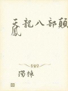 天龙八部颠龙鸾凤