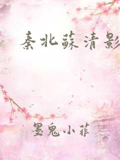秦北苏清影小说