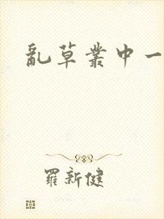 乱草丛中一杆枪