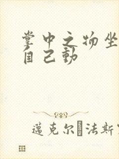 掌中之物坐上来自己动