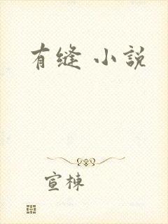 有缝 小说
