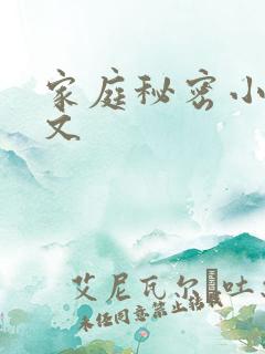 家庭秘密小说全文