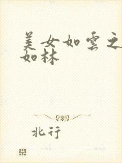 美女如云之高手如林