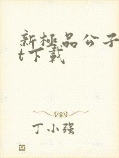 新极品公子txt下载