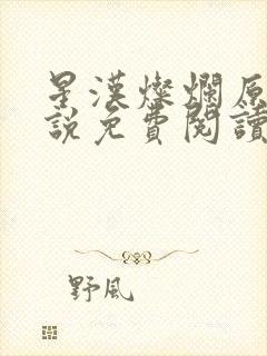 星汉灿烂原著小说免费阅读