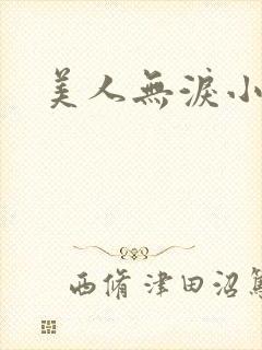 美人无泪小说