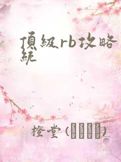 顶级rb攻略系统