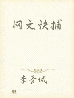 网文快捕